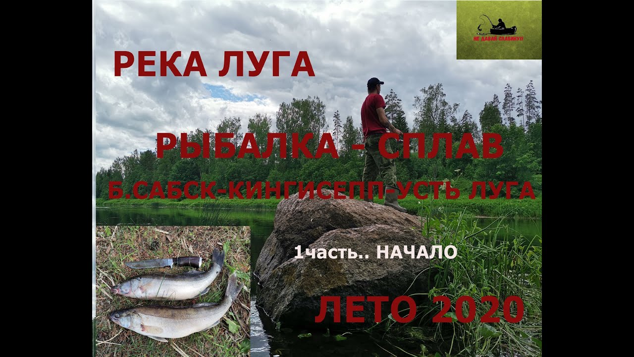 река Луга, Б.Сабск - Кингисепп рыбалка - сплав, лето 2020.