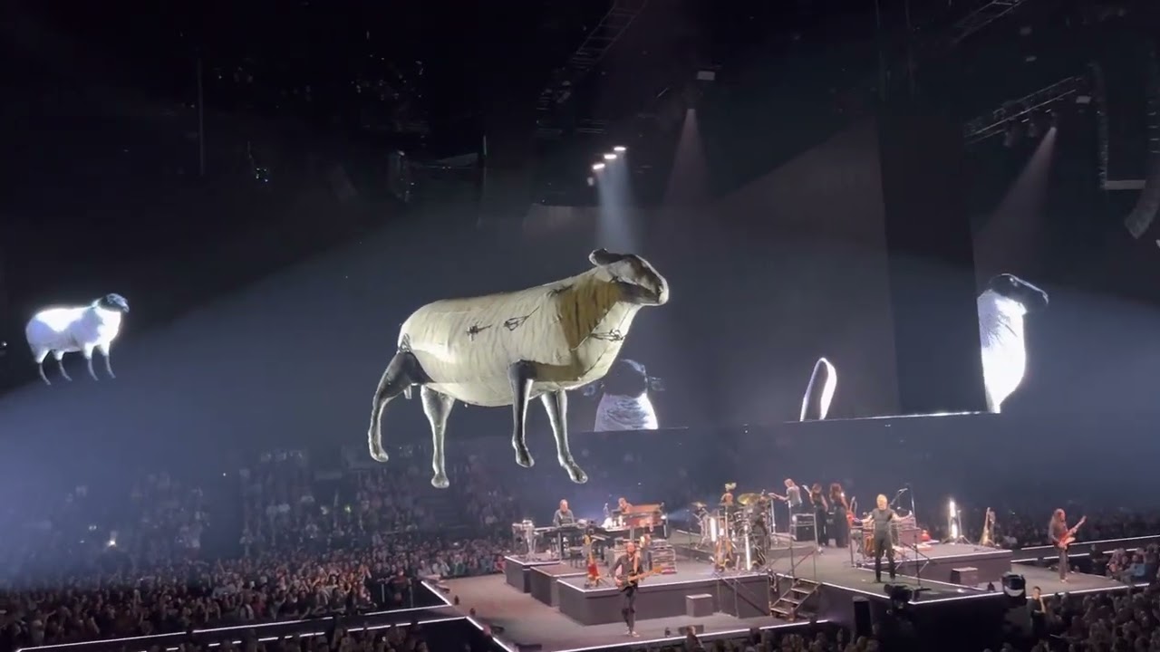 Roger Waters - Sheep - Paris Accor Arena - 030520239