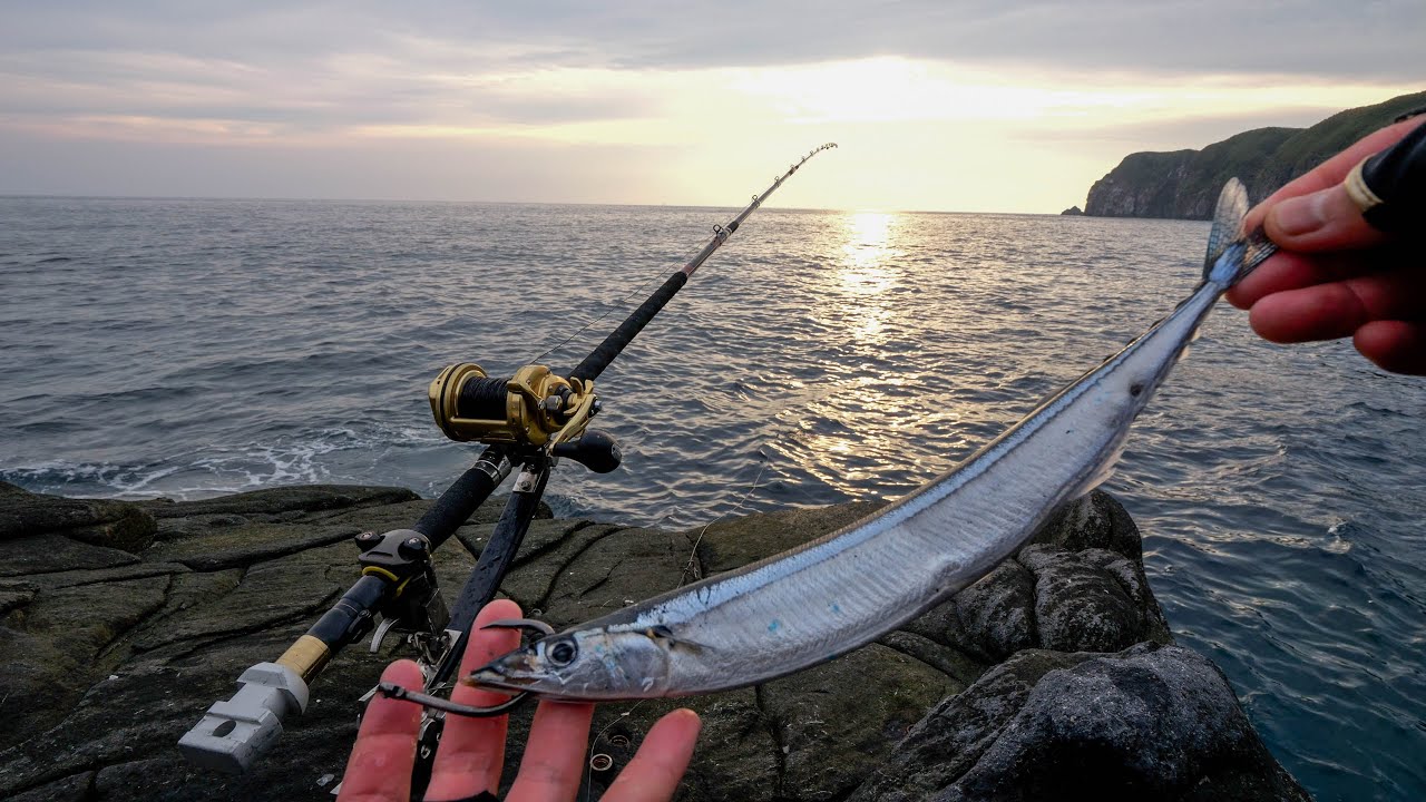 最大時価10万円！？希少すぎて大高騰中の幻高級魚を求めて離島の夜ブッコミ釣り