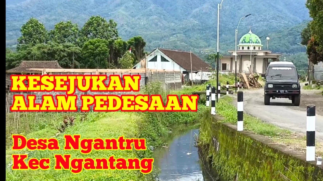 KESEJUKAN ALAM PEDESAAN NGANTRU//NGANTANG