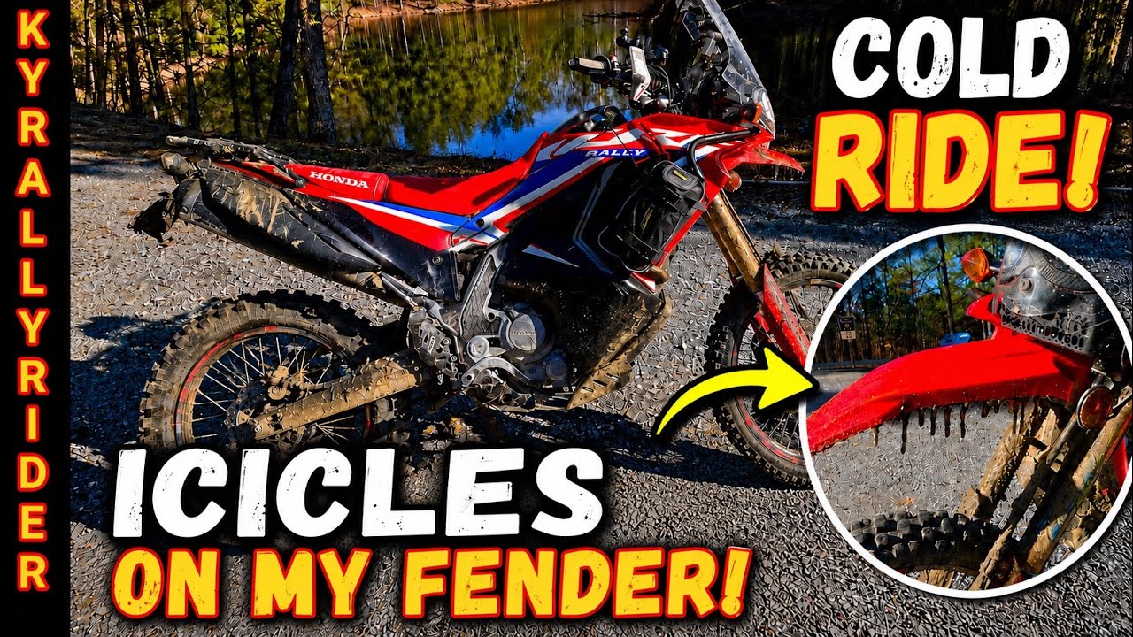 Land Between the Lakes FSR 356 & 357 - Honda CRF300L Rally