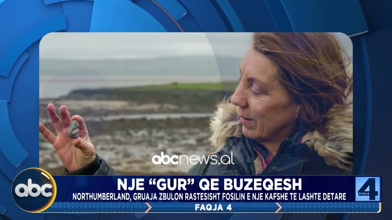 Guri qe doli fosil i nje kafshe detare dhe nje 