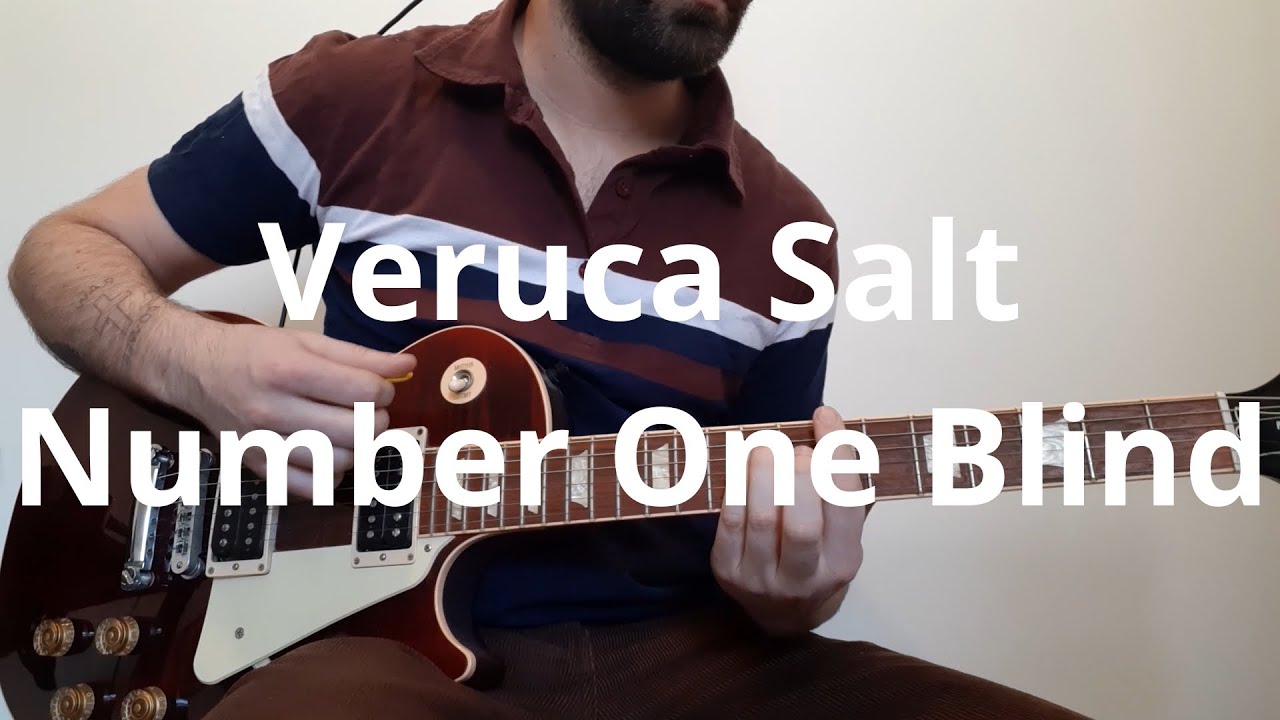 Veruca Salt   Number One Blind Guitar Cover