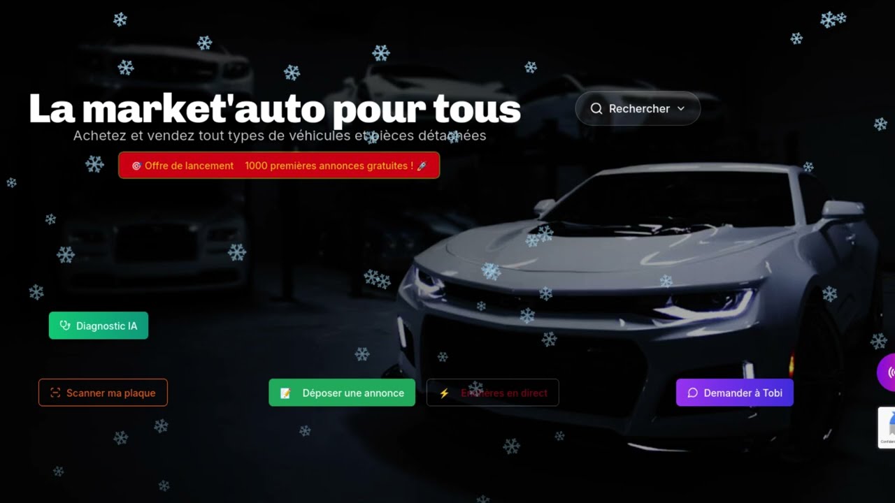 D&eacute;couvrez world auto pro