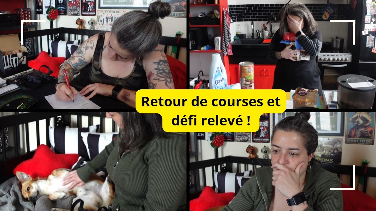 Retour de courses Action et Lidl,  prise de t&ecirc;te pour le site (qui est dispo) ! D&eacute;fis r&eacute;ussis !