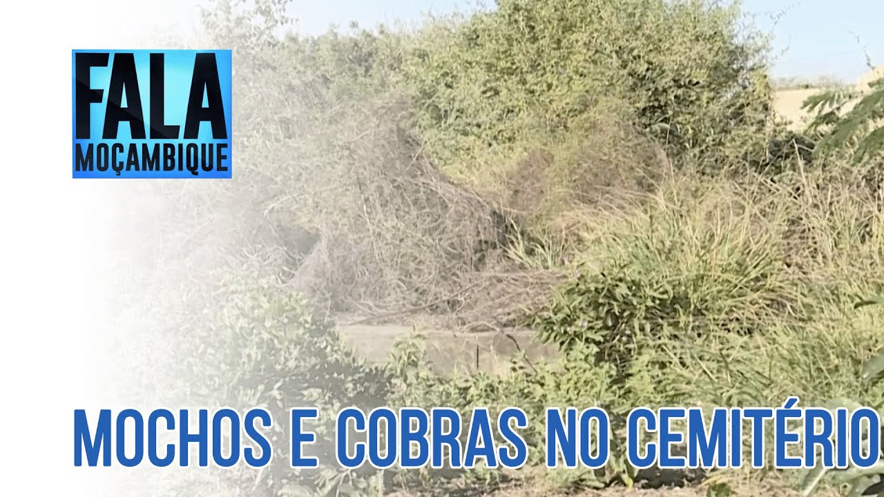Moradores de Nwamatibjana pedem limpeza e poda de árvores do cemitério familiar @Portal FM | Fala Moçambique