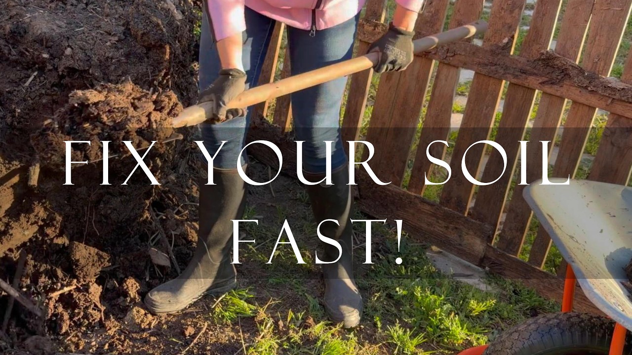How to Build Healthy Soil Naturally | What I Add to My Soil Every Winter (and Why It Works)