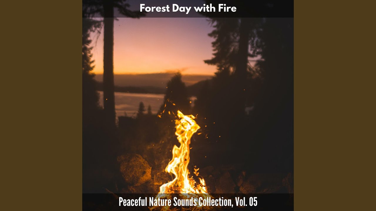 Earthy Aroma of Woodland Forest
