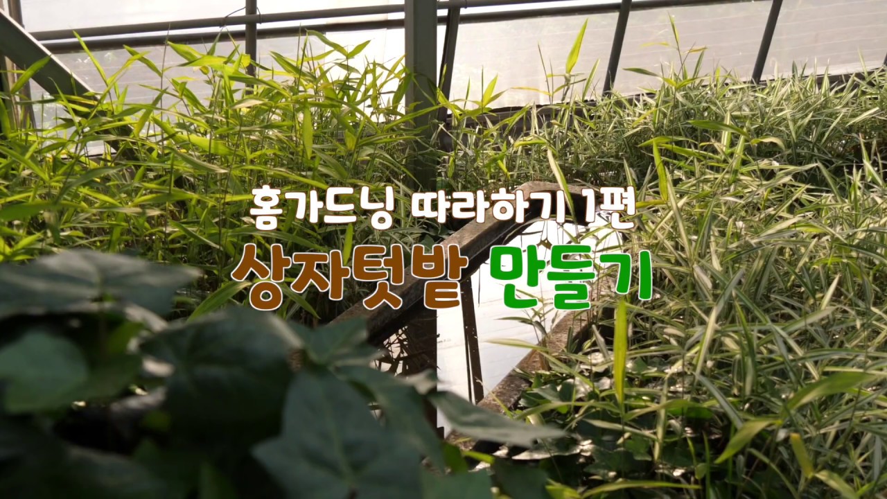 홈가드닝 따라하기 1편 - 상자텃밭 만들기