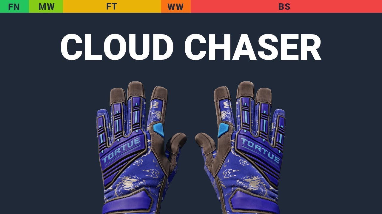 Specialist Gloves Cloud Chaser - Skin Float And Wear Preview
