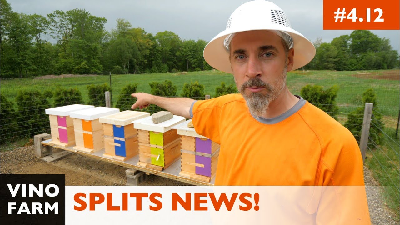 Splitting Bees into Resource Hives a.k.a. Double Nucs! (Split Maintenance)