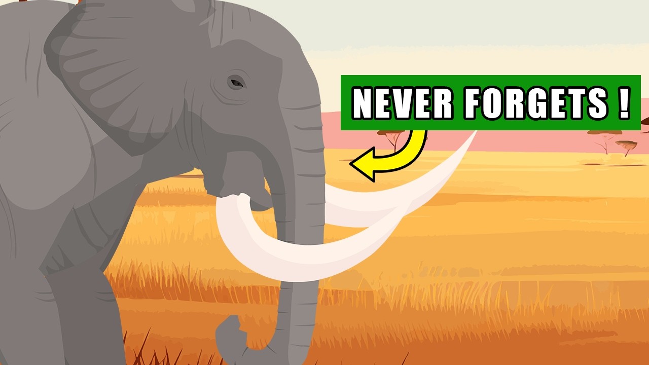 5 Facts About African Elephant