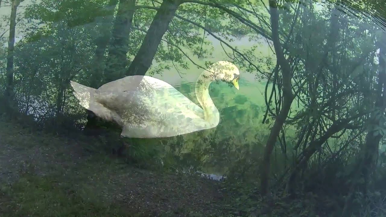 fiume Adda / річка Адда
