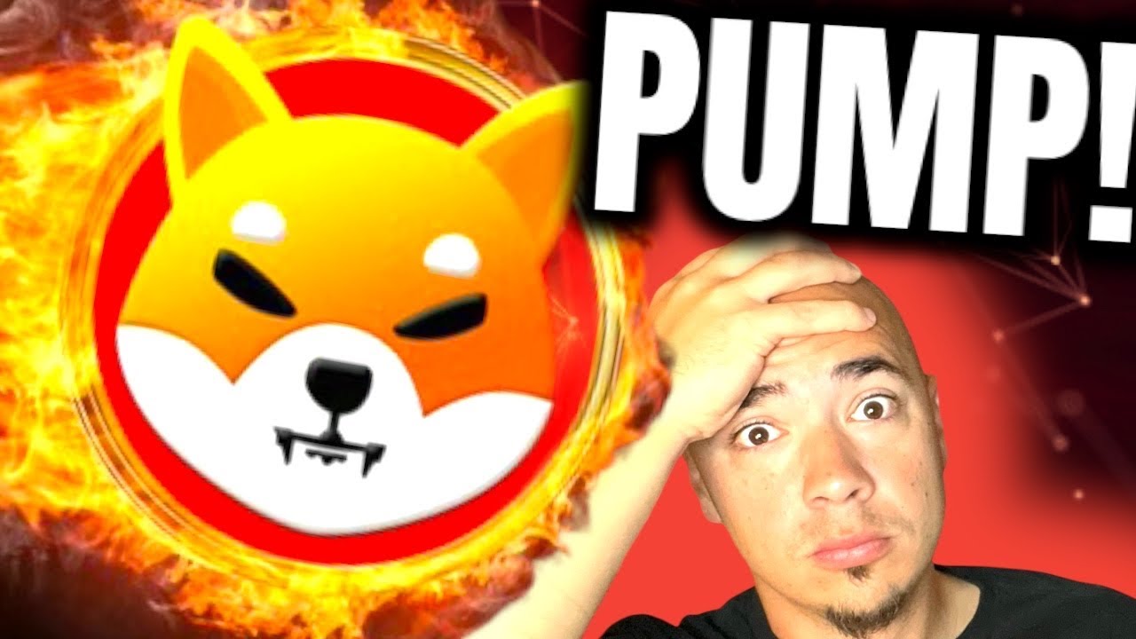 SHIBA INU is PUMPING & Shytoshi Is Explaining! (Shibarium Update)