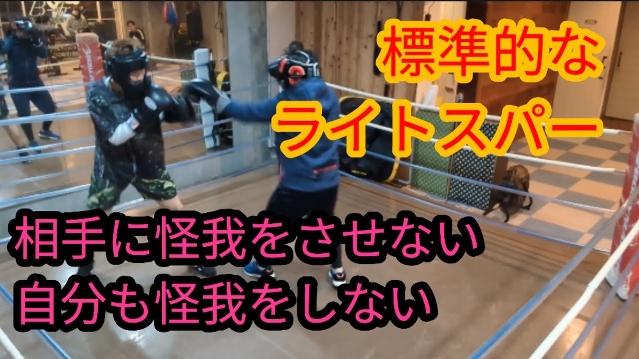 標準的なライトスパー