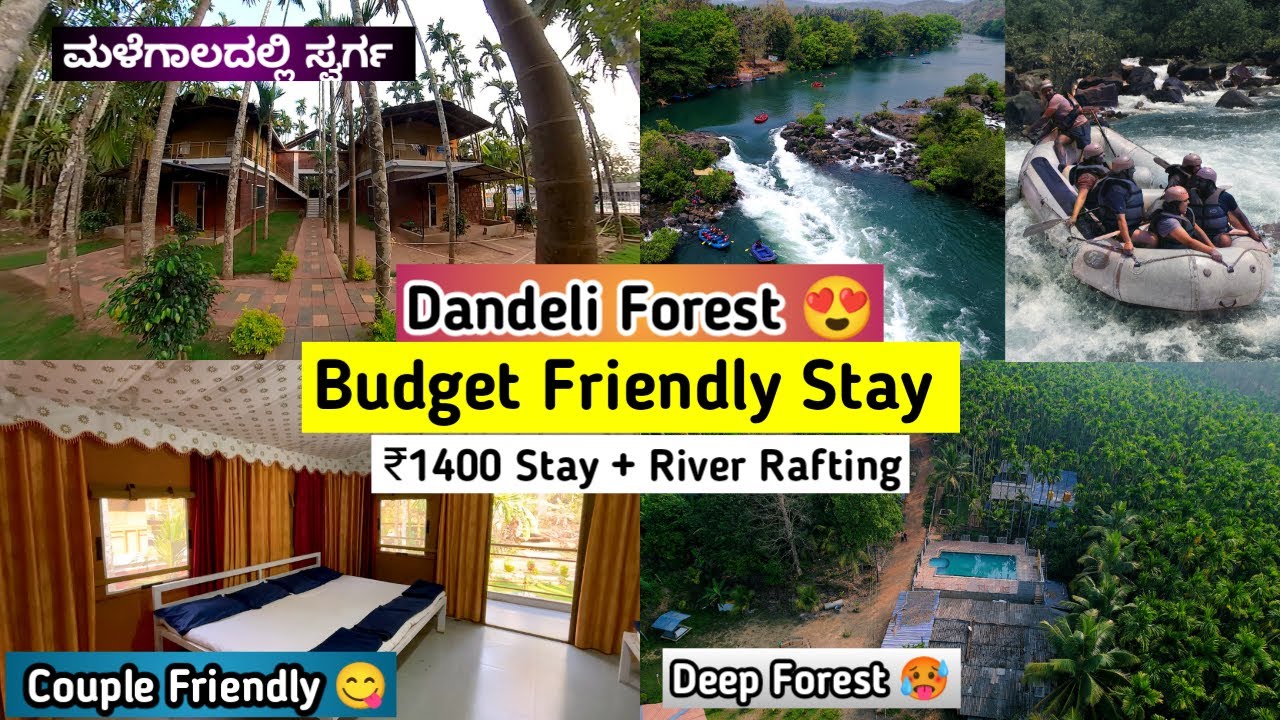 Dandeli Wodden Cafe - Budget Friendly Stay In Dandeli | River Rafting Stay In Deep Forest |