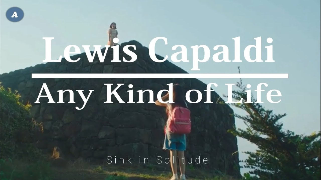 Lewis Capaldi - Any Kind of Life (unofficial lyrics video)