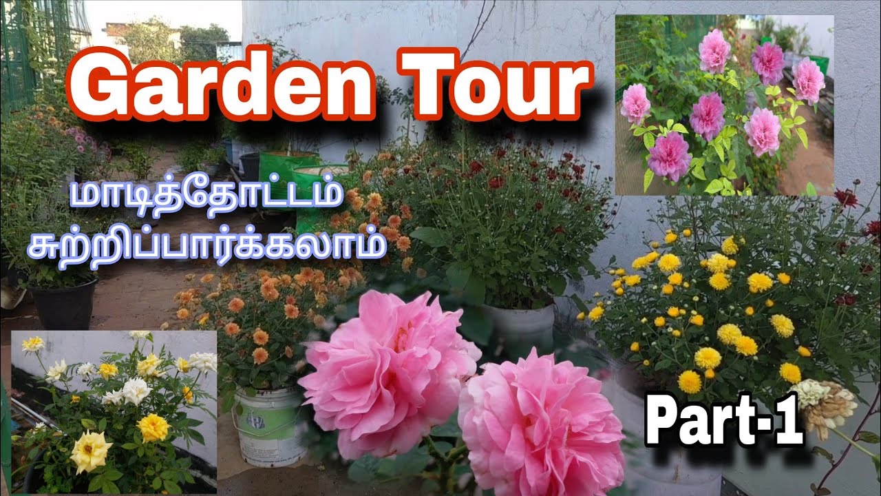 மாடித்தோட்டம் சுற்றிப் பார்க்கலாம் | Garden Tour in Tamil | Part-1 | Terrace Garden | Gardening 