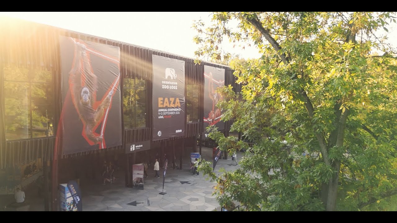 A glimpse of what happened at the EAZA Annual Conference 2025