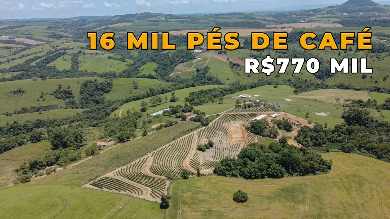 Chácara Produtiva em Japira – Café Formado, Água em Abundância e Estrutura Completa