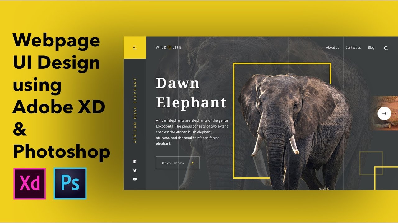 Wildlife Web Page UI Design - Speed Art (Using Photoshop & XD)