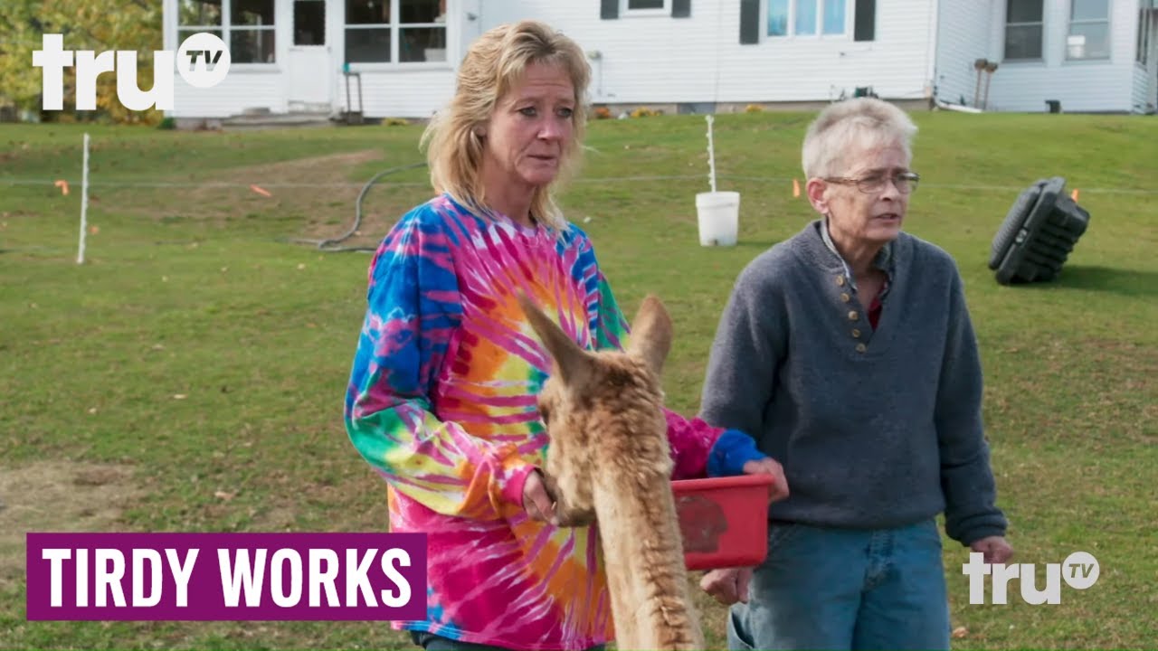 Tirdy Works - Mary's Alpaca Haul (Clip) | truTV