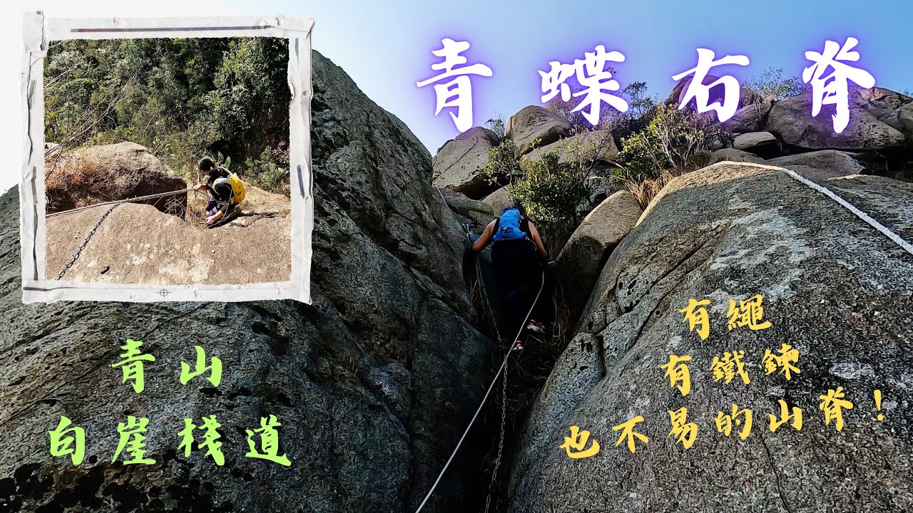 青蝶右脊｜一條有繩有鐵鍊也不易的山脊｜青山｜白崖棧道 #142
