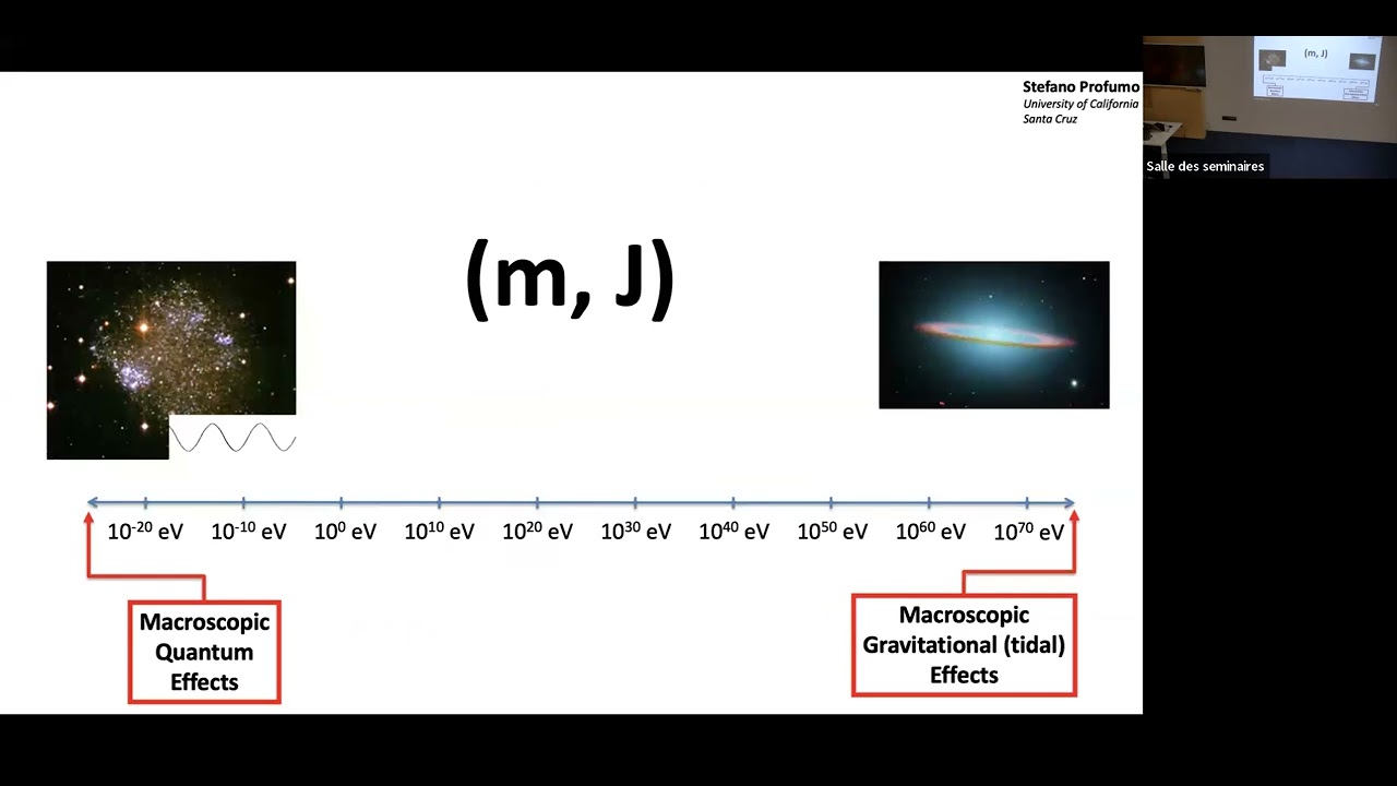 Black Holes and Dark Matter