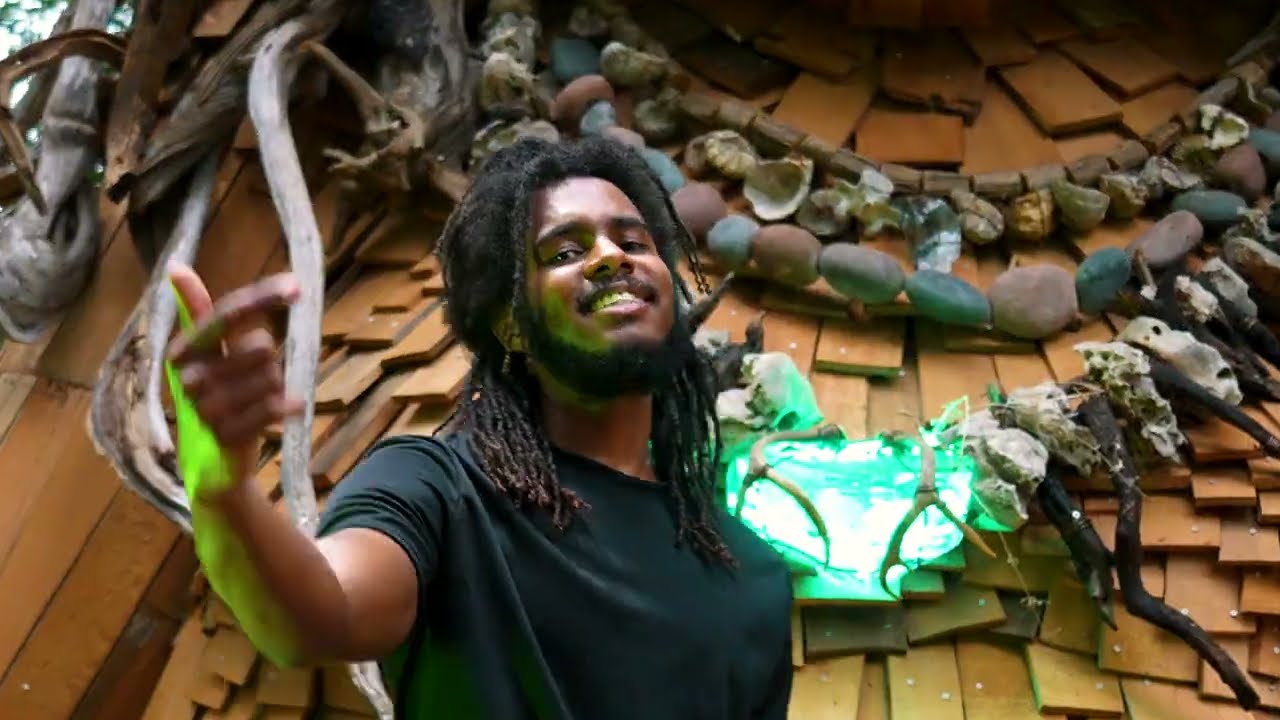 FOCUS XEN - VUELVE A BRILLAR (VIDEO OFICIAL)