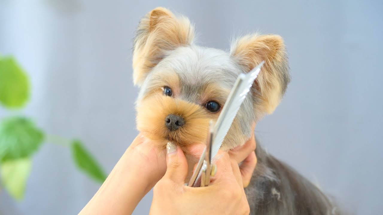 可愛くしてくれますか？