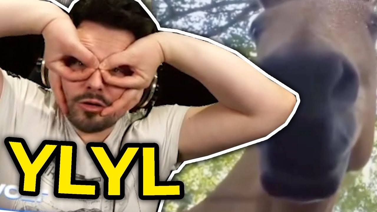 JEST NIEDZIELA, ŚMIAĆ SIĘ TRZEBA - YLYL by TIVOLT! (OSTATNI NA TYM KANALE!)