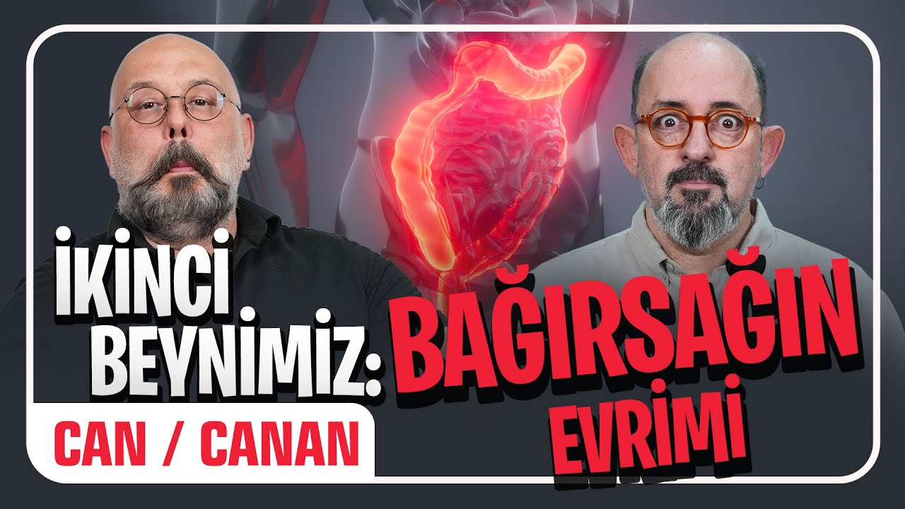 İkinci Beynimiz: Bağırsağın Evrimi I Önce Can Sonra Canan 332.Bölüm
