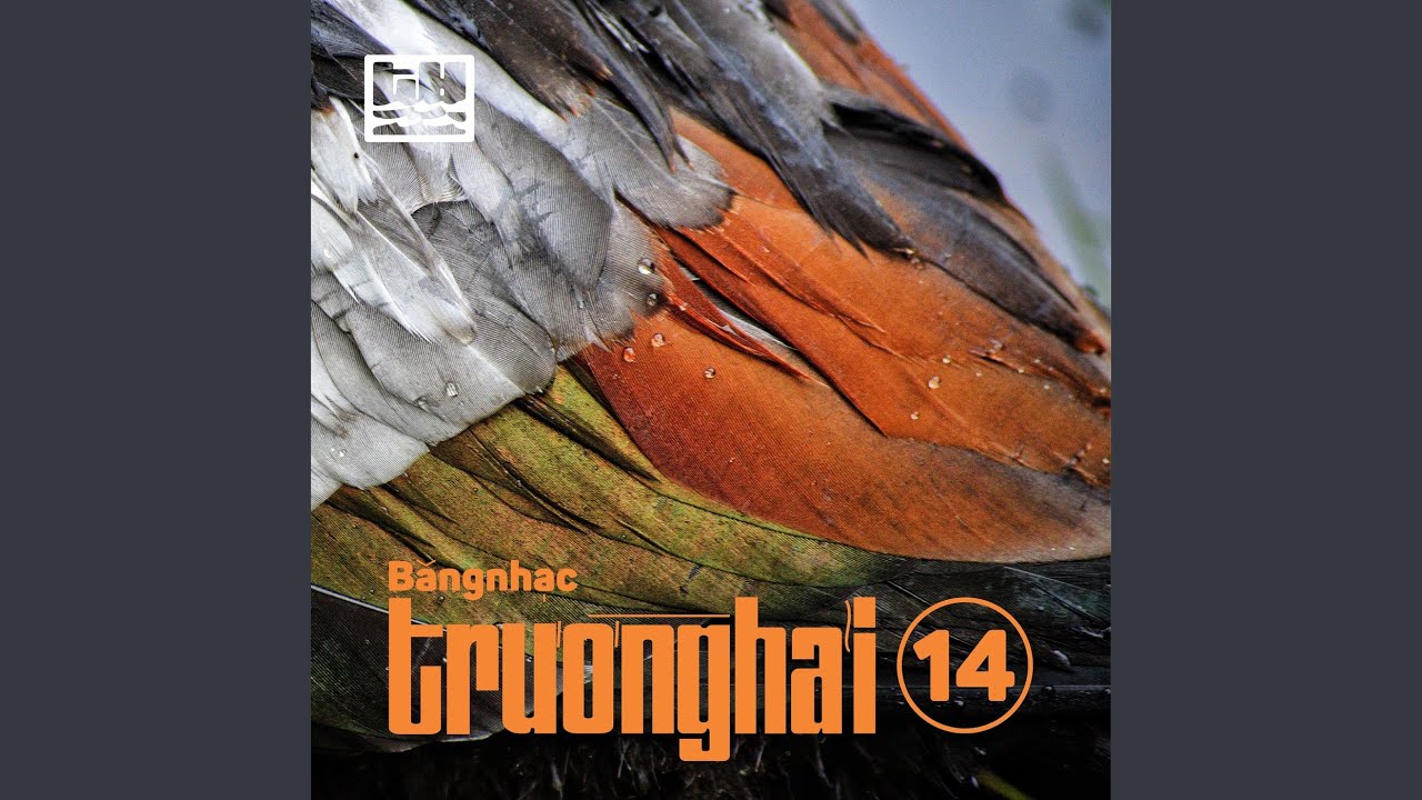 Dư Ảnh Tình Yêu