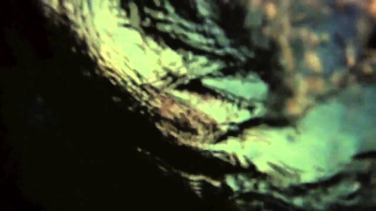 Coyu, Uner - Up & Run (Wehbba Remix)