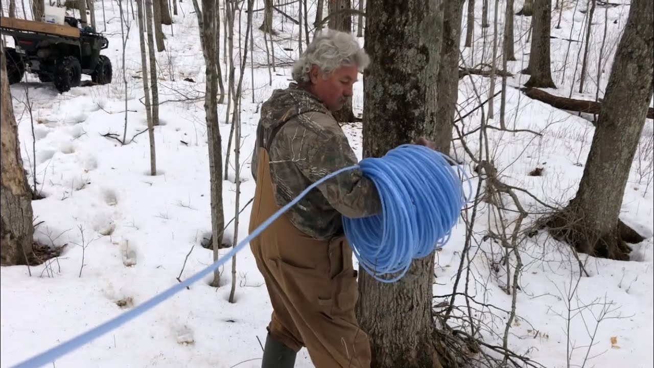 Making Maple Syrup - Running the 3/16 Line for Gravity Vacuum System