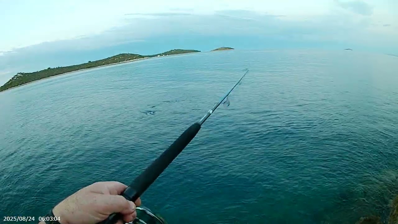 Opet BARAKUDA🎣🎣🎣🎣