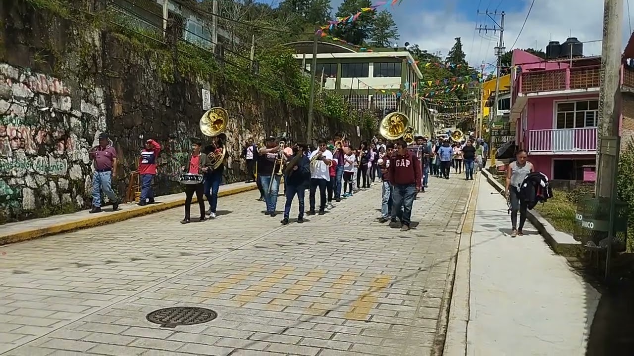 talea de castro recepción de bandas septiembre 2022