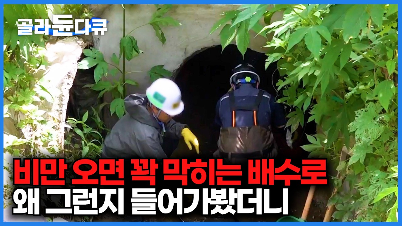 장마철이면 막혀버리는 땅속 물길 직접 들어가봤더니｜하수도 준설｜맨홀｜극한직업｜#골라듄다큐