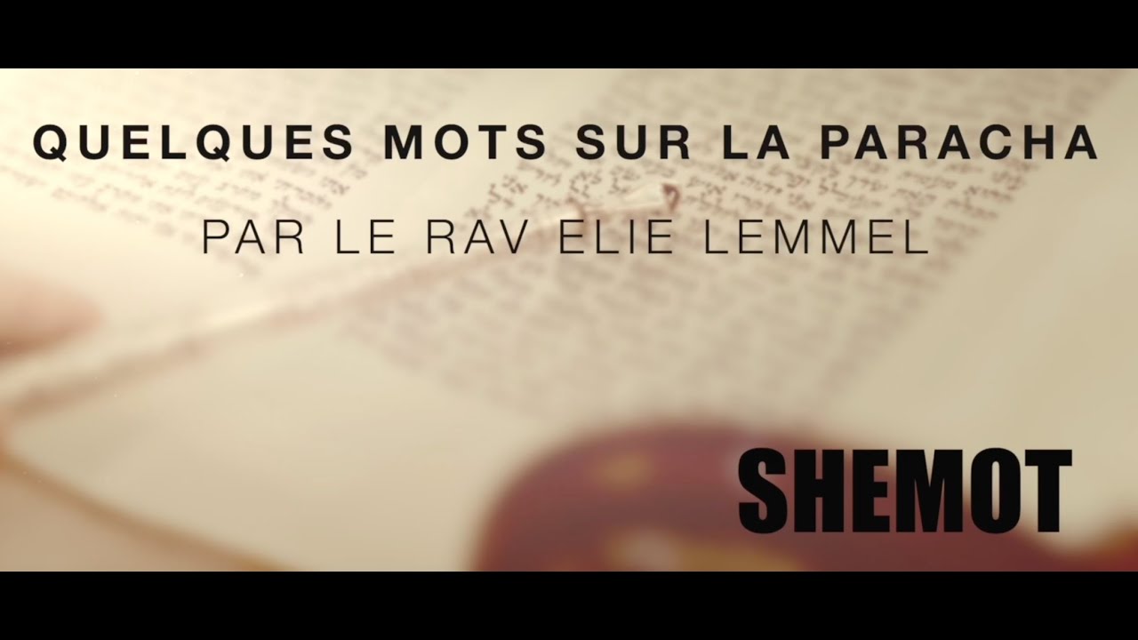 Vivre et ressentir ?! Rav &Eacute;lie Lemmel - Parasha Shemot