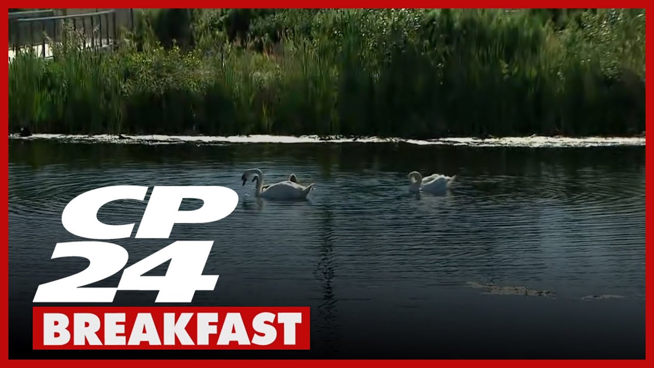 After 18 years in the making, Toronto’s newest waterfront park has opened