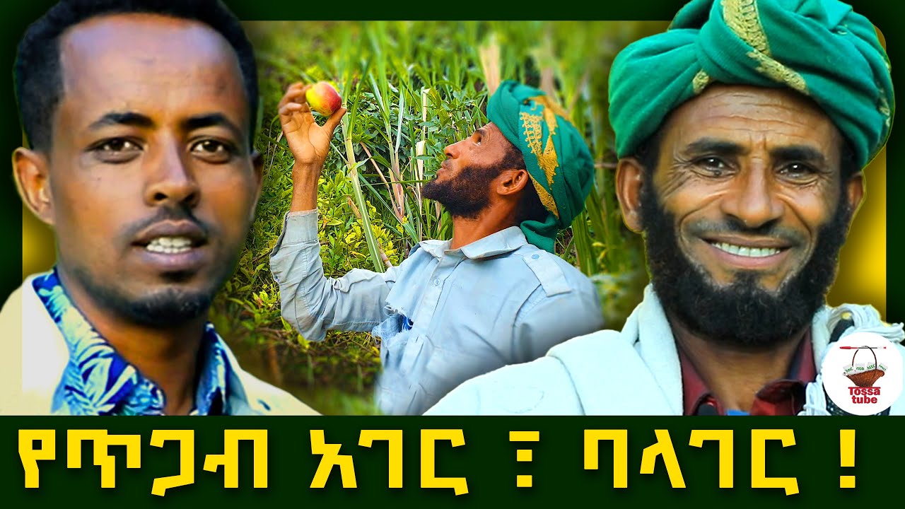✅ አስገራሚውን የሀገሬን ገበሬ ደግነትና የጓዳ ሙላት ላሳያችሁ !  |Ethiopian Farmer   #tossatube   #agroforestry