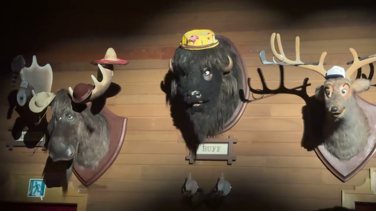 Country Bear Jamboree, Tokyo Disneyland, July 10, 2025
