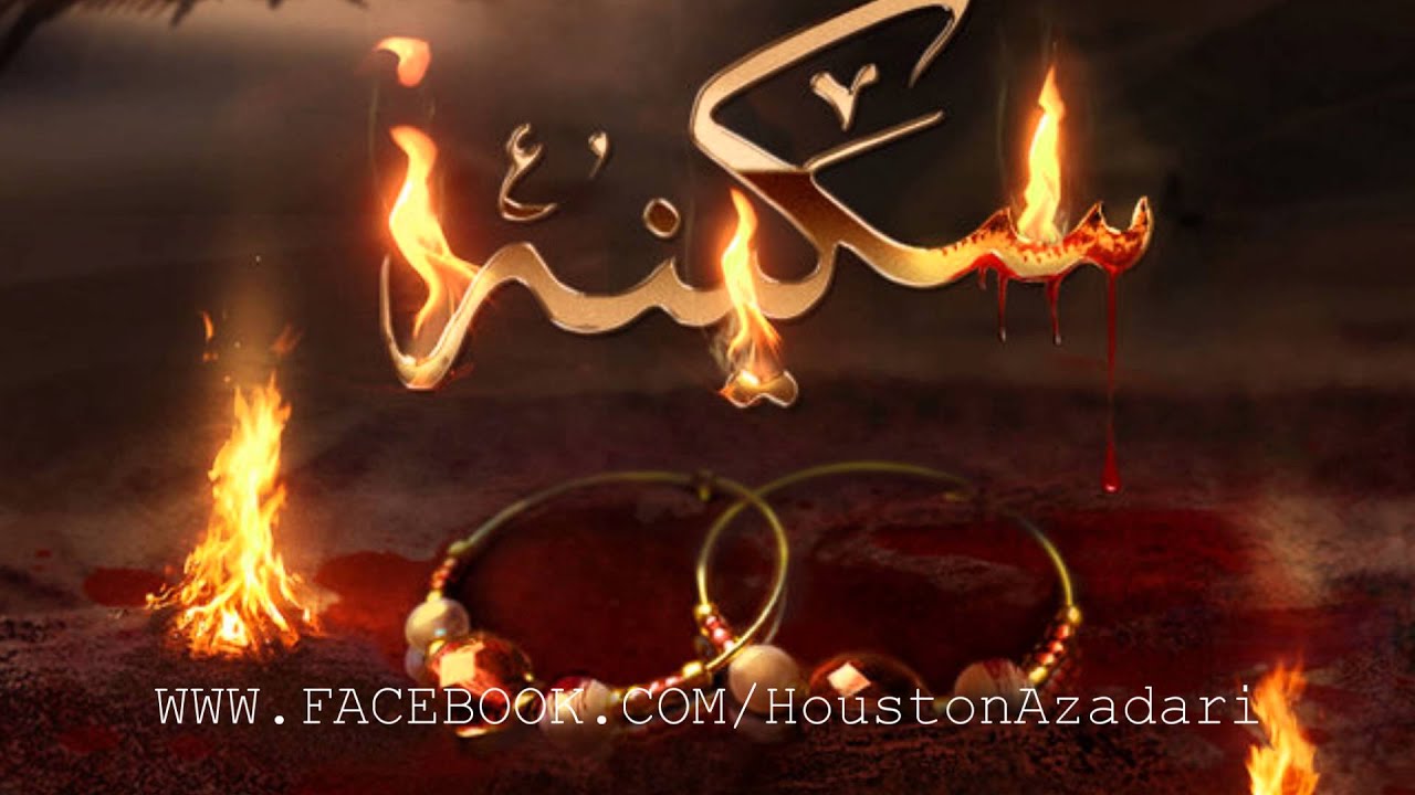 Zindaa'n mai Sakina s.a ye buqa by NAEEM ABBAS RUFI