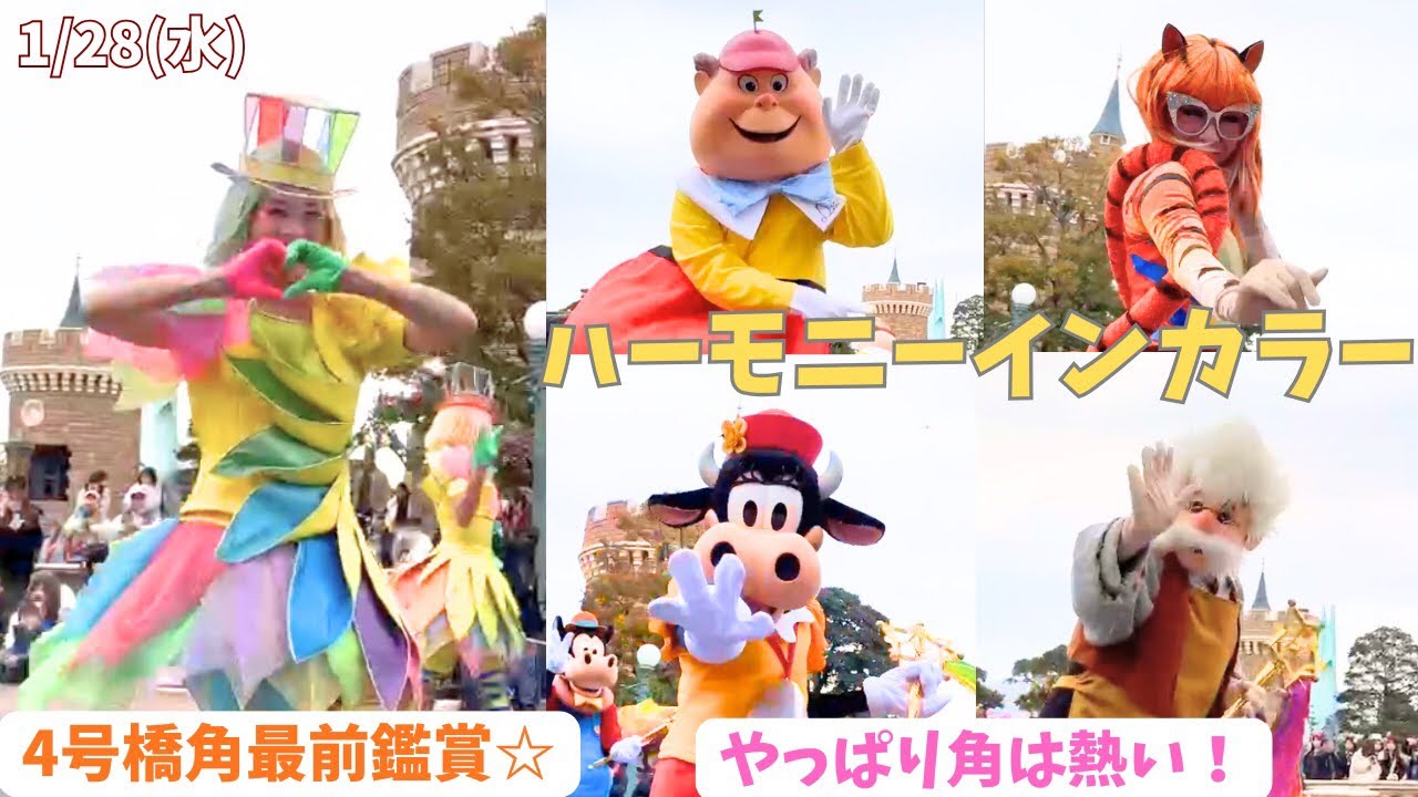 ハーモニーインカラー#ディズニー #ディズニー好きな人と繋がりたい #ディズニーランド #ディズニーリゾート #ハモカラ #disney #東京ディズニーランド #ミッキー #disneyland 