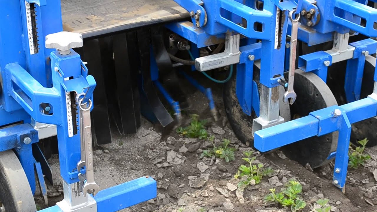 Remoweed: Automatic Weeder