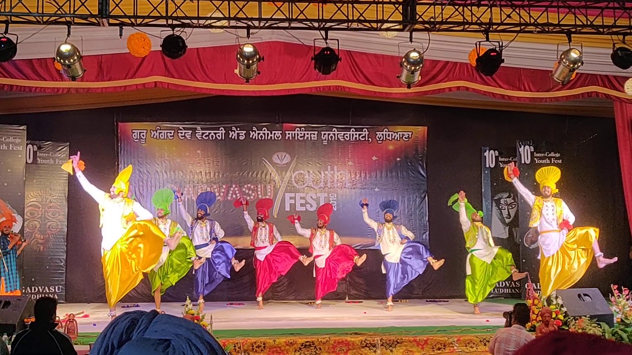 College of Dairy Science | BHANGRA | GADVASU Youth Fest 2019