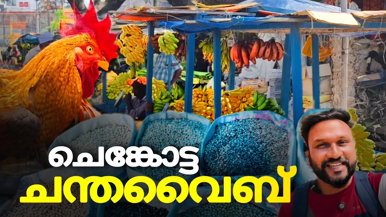 ചെങ്കോട്ടയിലെ ചന്തവൈബ് കാണാൻ ഒരു യാത്ര..!! | sengottai