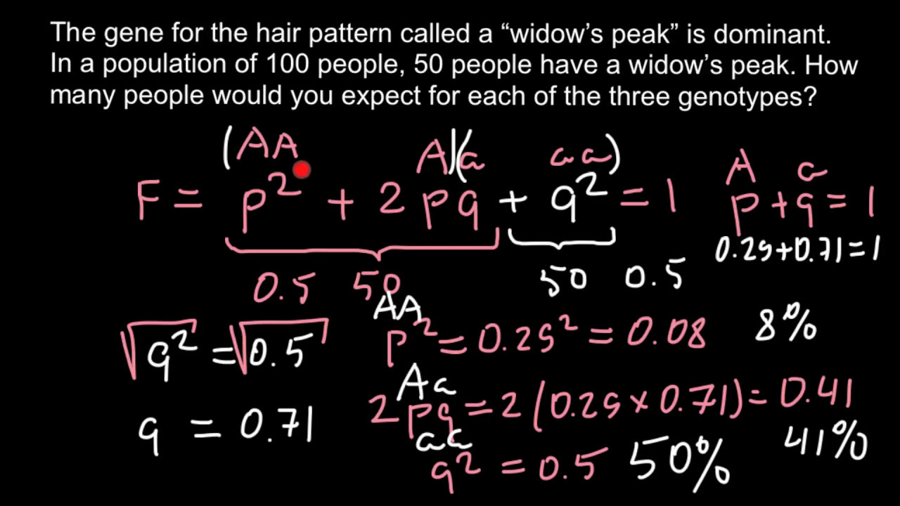 How to solve Hardy Weinberg problems