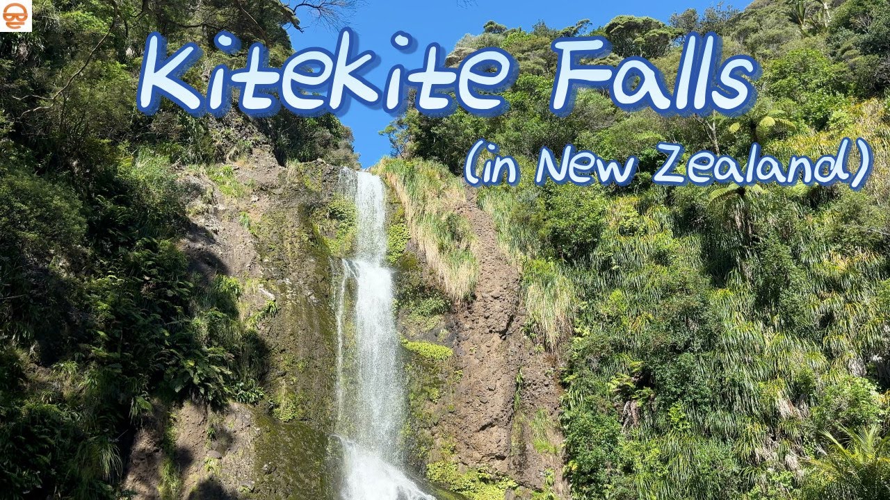 Kitekite Falls Walk: New Zealand's Lush Forest Waterfall | 뉴질랜드 키테키테 폭포 산책 #newzealandtravel #piha