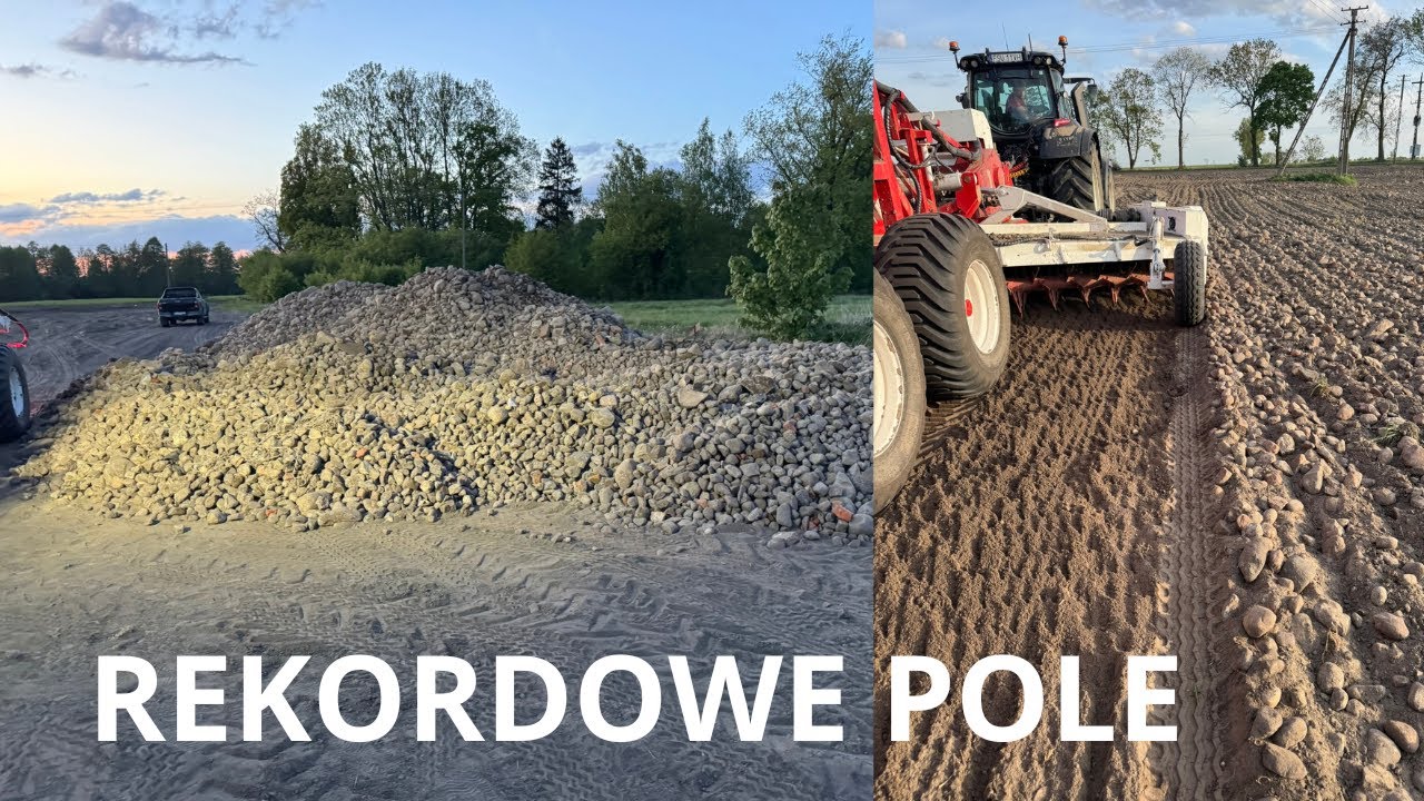 Takiego plonu nie spodziewał się nawet gospodarz. Zbieramy rekordowe pole w historii firmy